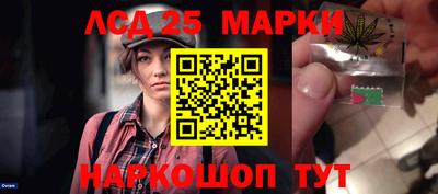 крисы Малгобек