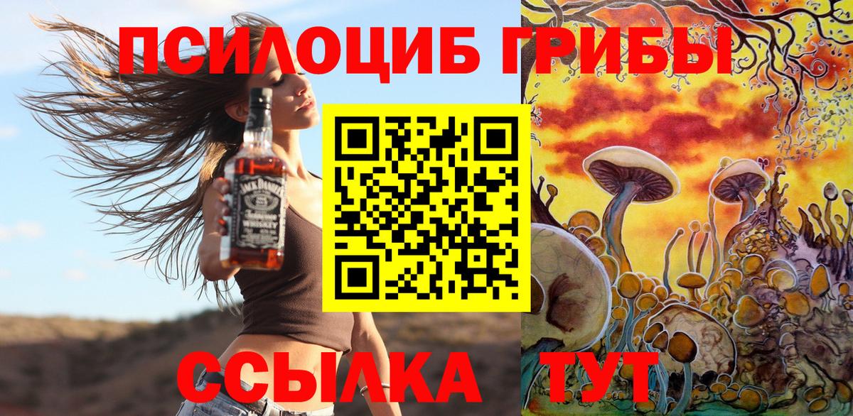 Псилоцибиновые грибы Psilocybine cubensis Электросталь